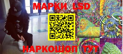 мяу мяу мука Моздок