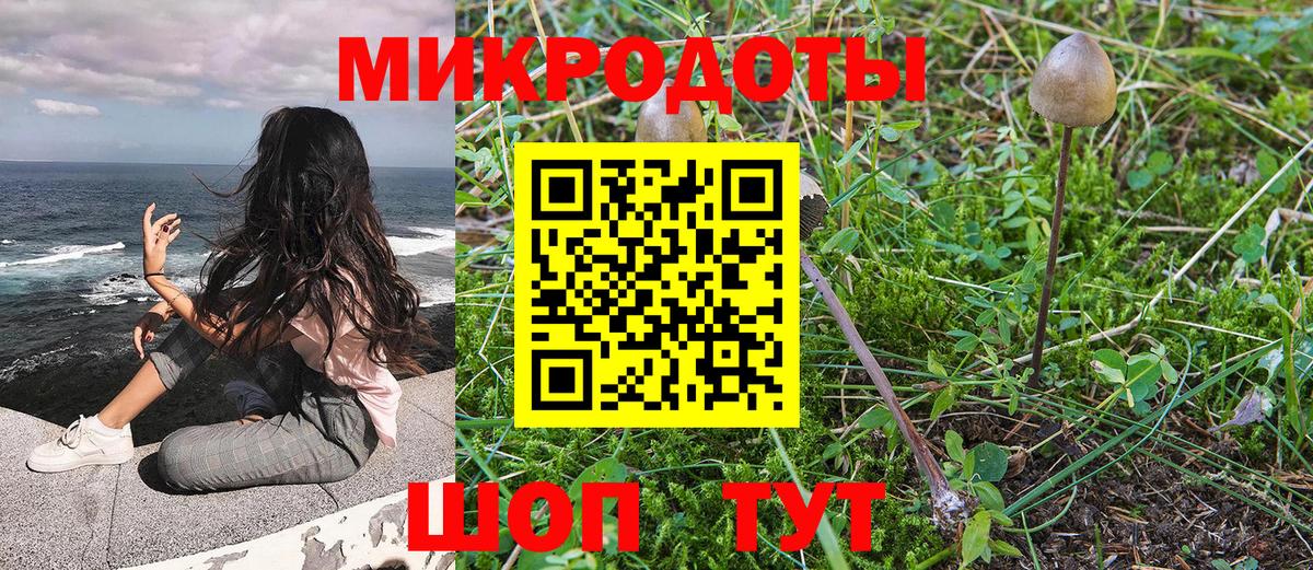 Белгород  Псилоцибиновые грибы мицелий  Вход с VPN 