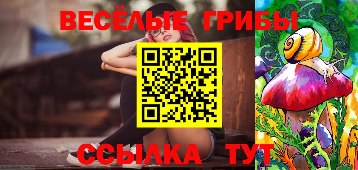 Псилоцибиновые грибы прущие грибы Белгород
